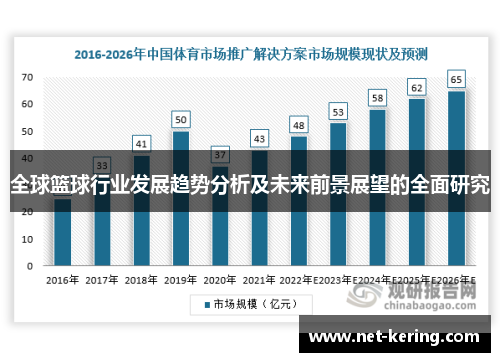 全球篮球行业发展趋势分析及未来前景展望的全面研究
