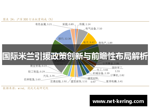 国际米兰引援政策创新与前瞻性布局解析